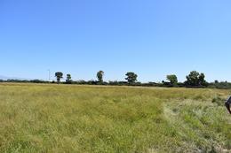 Terreno en venta en Romita